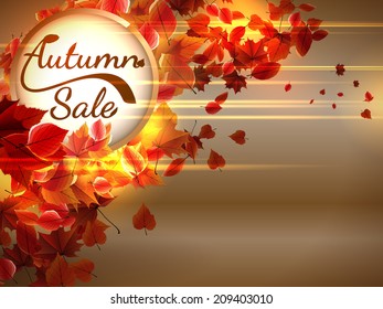 Autumn Sale background with copyspace. plus EPS10 vector file