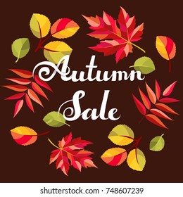 Autumn sale background. Decorative freehand lettering and colorful fall leaves. Vector illustration.