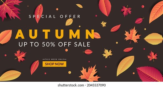 Autumn Sale background design with colorful leaves. Very suitable for banner, poster, flyer, advertising, etc.