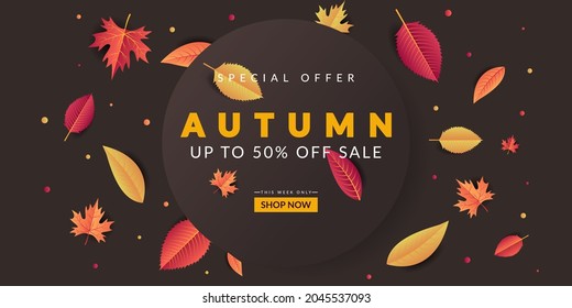 Autumn Sale background design with colorful leaves. Very suitable for banner, poster, flyer, advertising, etc.