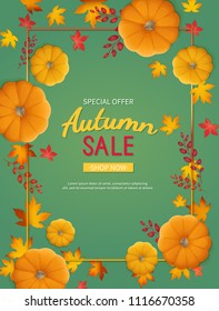 Autumn sale background. Discount, sale in autumn. Vertical banner flyer in a rectangular frame with pumpkin, leaves on a green table. Special seasonal offer.  Vector illustration. Top view