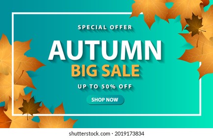 autumn sale background with fall leaves, sale or promo banner, poster, flyer template design. Vector illustration 