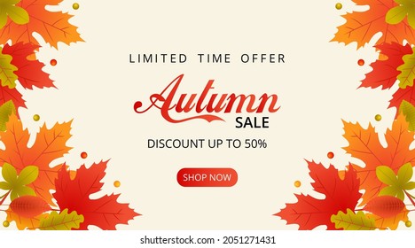 Autumn sale background with fallen autumn leaves