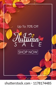 Autumn sale background with falling leaves