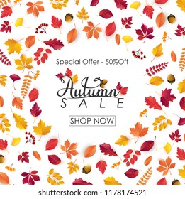 Autumn sale background with falling leaves