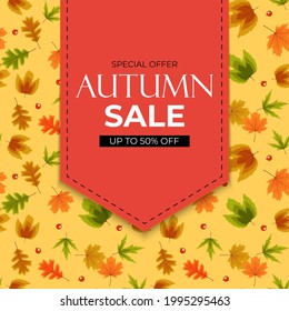 Autumn sale background with falling leaves. Can be used as story post in social network. Vector Illustration EPS10