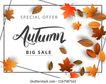 Autumn Sale Background, Hand Drawn Autumn calligraphy with falling leaves, Web Banner, shopping sale or seasonal poster, Postcard and Invitation card. Vector illustration