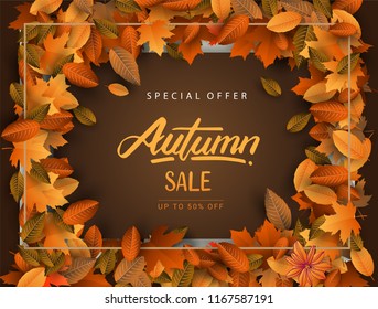 Autumn Sale Background, Hand Drawn Autumn calligraphy with falling leaves, Web Banner, shopping sale or seasonal poster, Postcard and Invitation card. Vector illustration