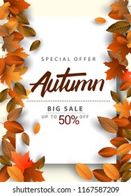 Autumn Sale Background, Hand Drawn Autumn calligraphy with falling leaves, Web Banner, shopping sale or seasonal poster, Postcard and Invitation card. Vector illustration