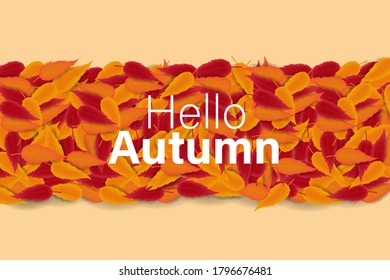 Autumn Sale Background with Hand Drawn Autumn Text and Leaves around it. For Holiday sale Promo, Invitation card and Greeting card