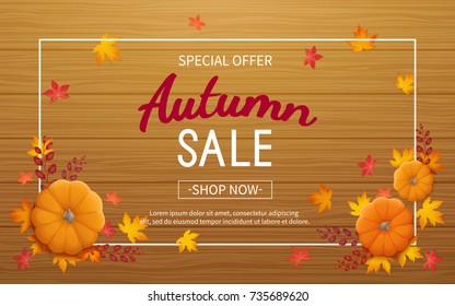 Autumn sale background. Horizontal banner flyer in a rectangular frame with pumpkin, leaves on a wooden table. Special seasonal offer.  Vector illustration. Top view