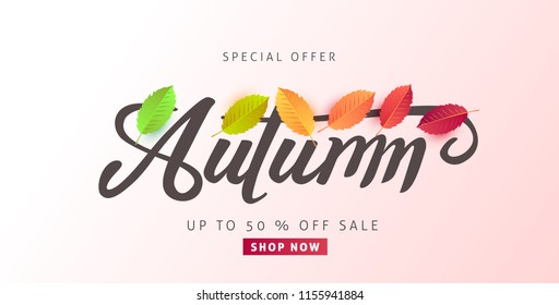 Autumn sale background layout decorate with leaves for shopping sale or promo poster and frame leaflet or web banner.Vector illustration template.