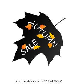 Autumn sale background layout decorate with leaves for shopping	