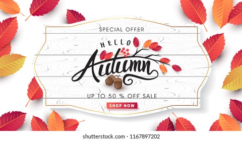 Autumn sale background layout decorate with leaves of autumn for shopping sale or promo poster and frame leaflet or web banner.Vector illustration template. Autumn sale background layout decorate with leaves of autumn for shopping sale or promo poster and frame leaflet or web banner.Vector illustration template.