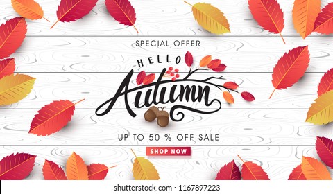 Autumn sale background layout decorate with leaves of autumn for shopping sale or promo poster and frame leaflet or web banner.Vector illustration template. Autumn sale background layout decorate with leaves of autumn for shopping sale or promo poster and frame leaflet or web banner.Vector illustration template.