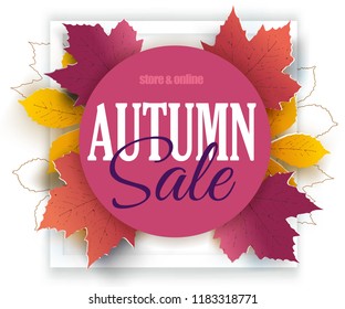 Autumn sale background layout decorate with leaves for shopping sale or promo. 
