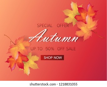  Autumn sale background layout decorate with maple leaves of autumn for shopping sale or promo poster and frame leaflet or web banner. Thanksgiving Background Vector illustration template.