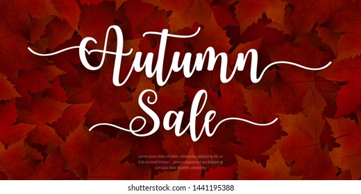 Autumn sale background layout decorate with leaves for shopping. Sale colorful seasonal fall leaves 