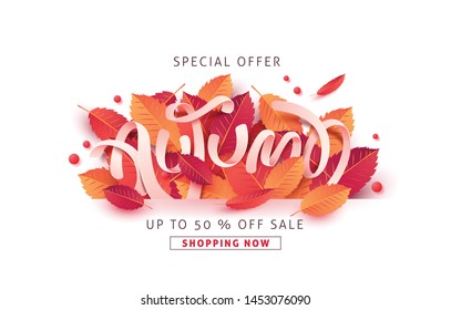 Autumn sale background layout decorate with leaves for shopping sale or promo poster and frame leaflet or web banner.Vector illustration template.