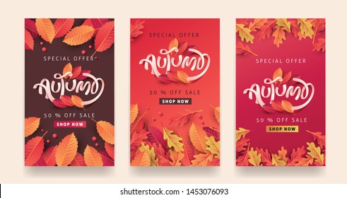 Autumn sale background layout decorate with leaves for shopping sale or promo poster and frame leaflet or web banner.Vector illustration template.