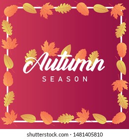 Autumn sale background layout decorate with leaves for shopping sale or promo poster and frame leaflet or web banner. Vector illustration template.