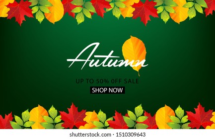 Autumn sale background layout decorate with leaves for shopping sale or promo poster and frame leaflet or web banner, vector illustration template