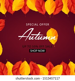 Autumn sale background layout decorate with leaves for shopping sale or promo poster and frame leaflet or web banner, vector illustration template