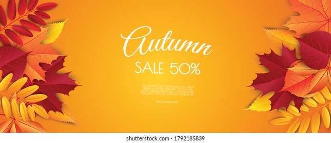 Autumn sale background layout decorate with leaves for shopping sale. Frame leaflet or web banner. Vector illustration template.