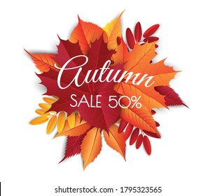 Autumn sale background layout decorate with leaves for shopping sale. Frame leaflet or web banner. Vector illustration template.