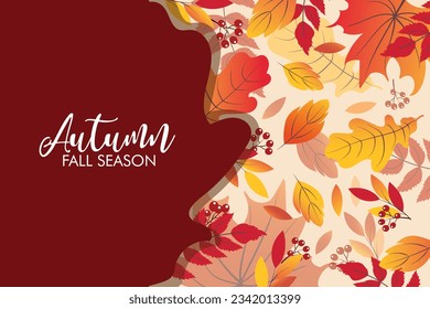 Autumn sale background layout decorate with leaves of autumn for shopping sale or banner, promo poster, frame leaflet or web. Vector illustration.