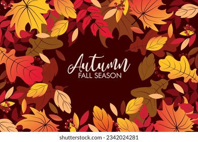 Autumn sale background layout decorate with leaves of autumn for shopping sale or banner, promo poster, frame leaflet or web. Vector illustration.