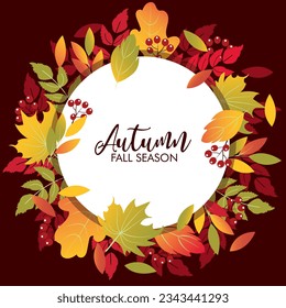 Autumn sale background layout decorate with leaves of autumn for shopping sale or banner, promo poster, frame leaflet or web. Vector illustration.