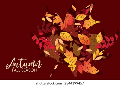 Autumn sale background layout decorate with leaves of autumn for shopping sale or banner, promo poster, frame leaflet or web. Vector illustration.