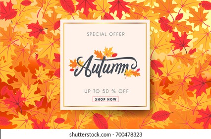 Autumn sale background layout decorate with autumn leaves for shopping sale or promo poster and frame leaflet or web banner.Vector illustration template.