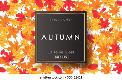 Autumn sale background layout decorate with autumn leaves for shopping sale or promo poster and frame leaflet or web banner.Vector illustration template.