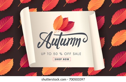 Autumn sale background layout decorate with autumn leaves for shopping sale or promo poster and frame leaflet or web banner.Vector illustration template.