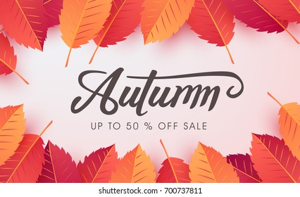 Autumn sale background layout decorate with autumn leaves for shopping sale or promo poster and frame leaflet or web banner.Vector illustration template.