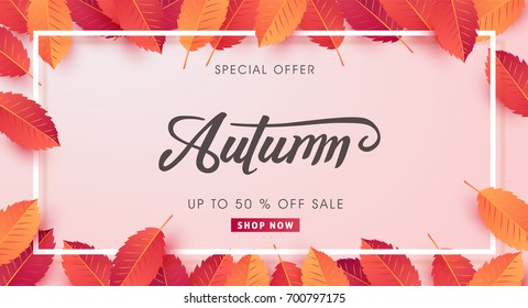 Autumn sale background layout decorate with leaves for shopping sale or promo poster and frame leaflet or web banner.Vector illustration template.