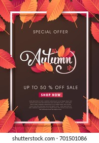 Autumn sale background layout decorate with leaves for shopping sale or promo poster and frame leaflet or web banner.Vector illustration.