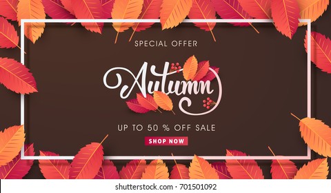 Autumn sale background layout decorate with leaves for shopping sale or promo poster and frame leaflet or web banner.Vector illustration template.
