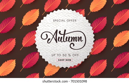 Autumn sale background layout decorate with leaves for shopping sale or promo poster and frame leaflet or web banner.Vector illustration template.