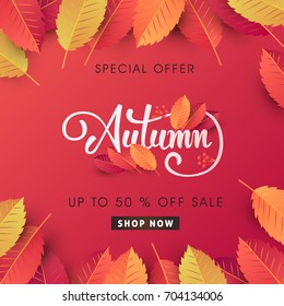 Autumn sale background layout decorate with leaves for shopping sale or promo poster and frame leaflet or web banner.Vector illustration template.