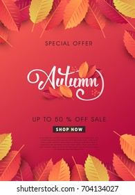 Autumn sale background layout decorate with leaves for shopping sale or promo poster and frame leaflet or web banner.Vector illustration template.