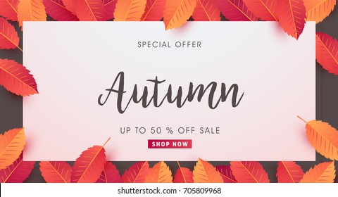 Autumn sale background layout decorate with leaves for shopping sale or promo poster and frame leaflet or web banner.Vector illustration template.