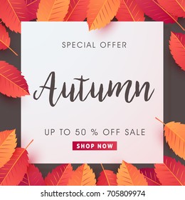 Autumn sale background layout decorate with leaves for shopping sale or promo poster and frame leaflet or web banner.Vector illustration template.