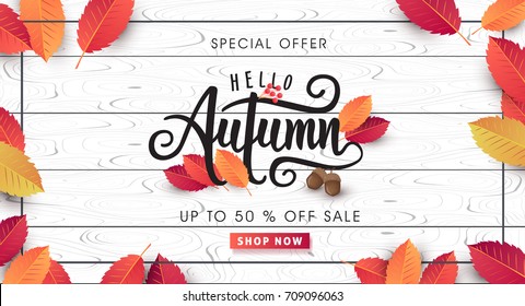 Autumn sale background layout decorate with leaves for shopping sale or promo poster and frame leaflet or web banner.Vector illustration template. - Shutterstock ID 709096063