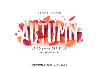 Autumn sale background layout decorate with leaves for shopping sale or promo poster and frame leaflet or web banner.Vector illustration template.