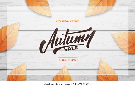 Autumn Sale Background Layout Design. Autumn Lettering, Fall Leaves And Wooden Background. Fall Sale Banner.