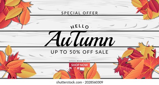 Autumn sale background layout design decorated with wooden plank and colorful leaves. It is suitable for banner, poster, flyer, advertising, etc