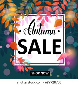 Autumn Sale background. Layout for discount labels, web, flyers and shopping. Leaf fall. Lettering. Advertising